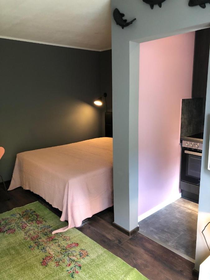 Studio Apartment In Dresden-Neustadt Bagian luar foto